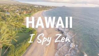 i Spy: Hawaii 4K Relaxing Music Ocean Waves (Scavenger Hunt)