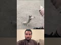 يترجاه لشربه ماءاسقاه فذهب ممتنا يترجاه لشربه ماءاسقاه فذهب ممتنا