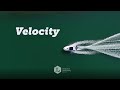 Understanding Speed and Velocity Concepts