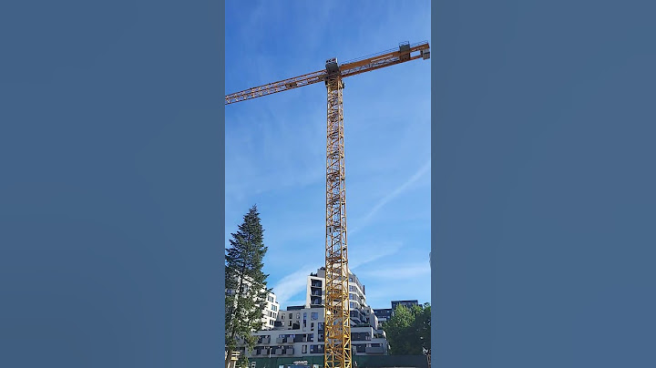 Dwa żurawie w Poznaniu