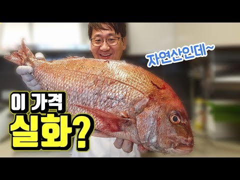 Natural red sea-bream for chicken price?