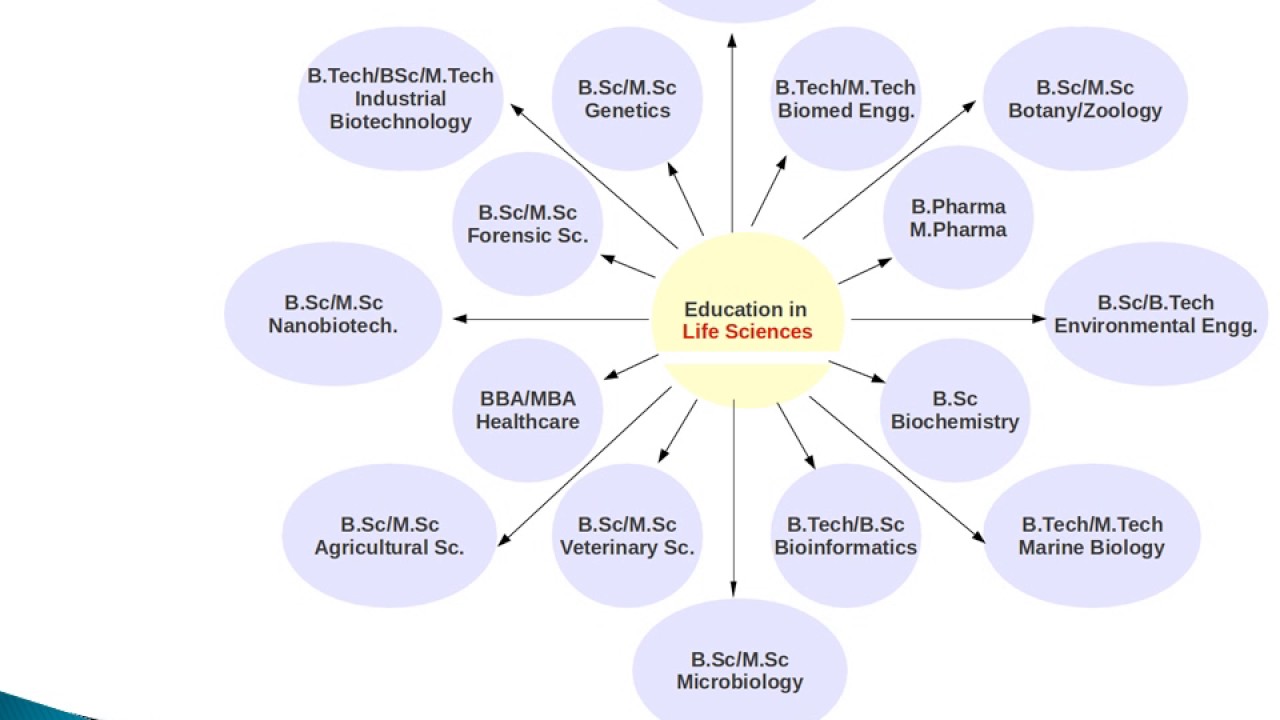 is biotechnology a good career in canada