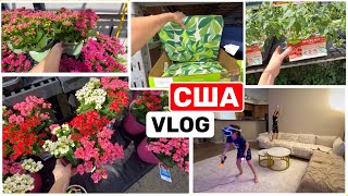 :       ?   USA VLOG
