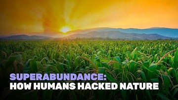 Superabundance: How Humans Hacked Nature