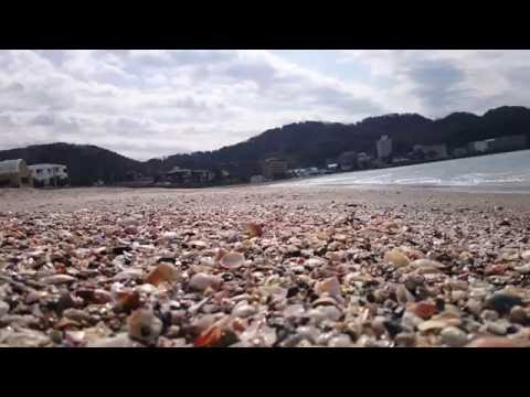 海辺の散歩