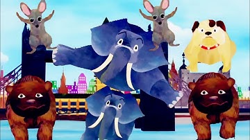 HICKORY -DICKORY DOCK+RANDOM COLOR EFFECTS||FOUR ANIMALS IN THE CLOCK