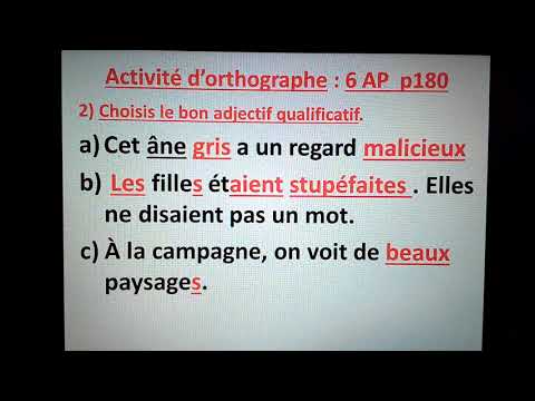 Vidéo: Les patrouilles sont-elles au singulier ou au pluriel ?