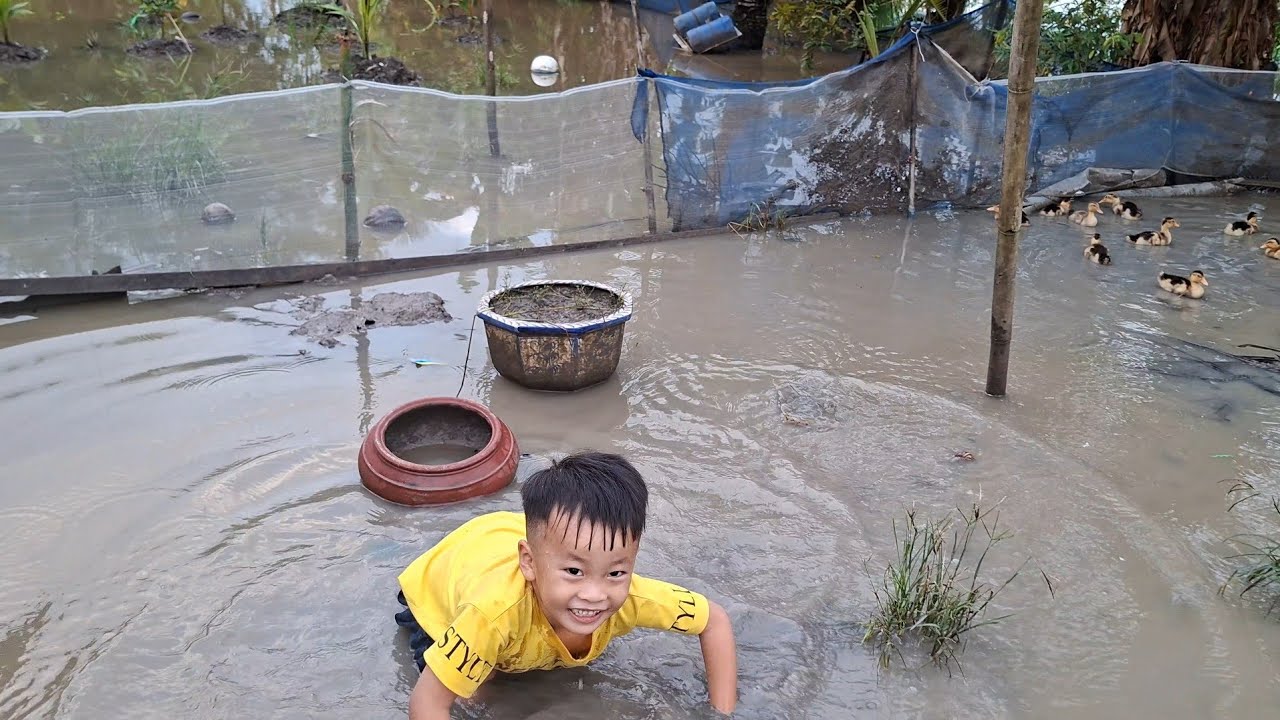 Chuột Bị Té Lên Té Xuống Khi Lội Đi Bắt Vịt Về Nuôi#ngocdieuvlog123 #chuotbite