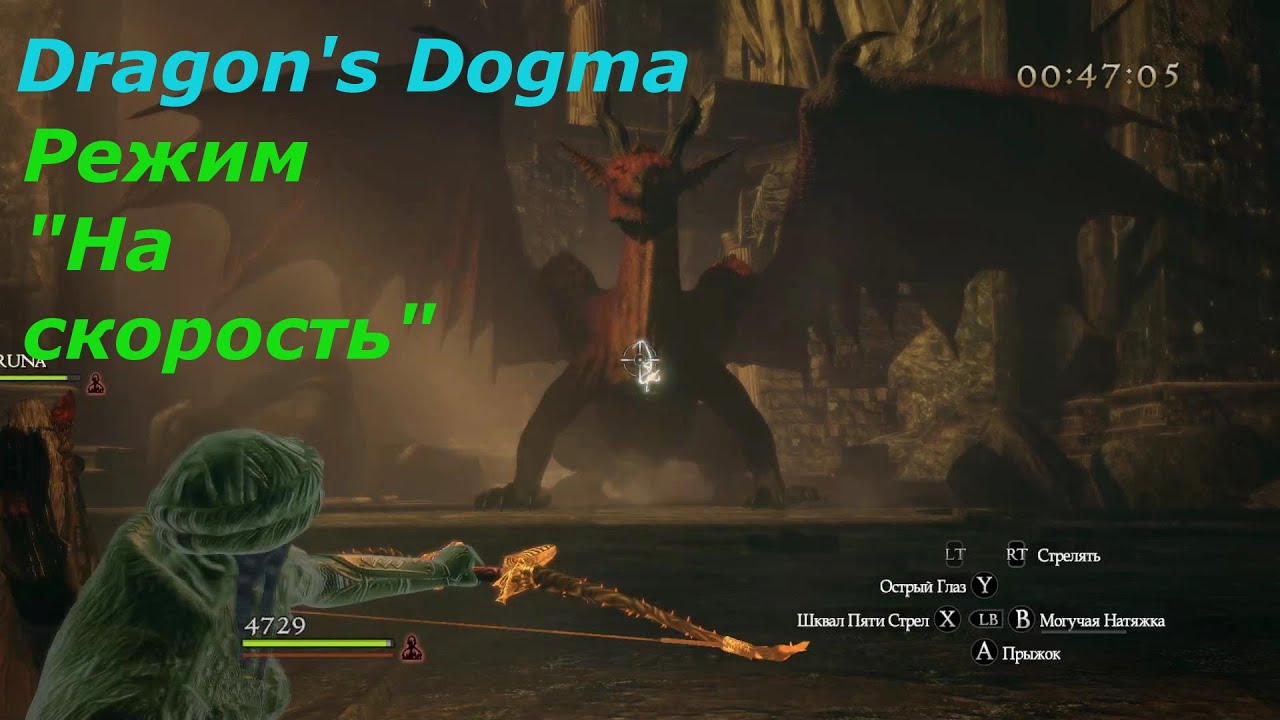 Dragons dogma 2 эльфийский язык. Драгон Догма классы. Душегубный каньон Dragon's Dogma Dark Arisen. Драгонс Догма карта. Dragon's Dogma Dark Arisen жуткие статуэтки.