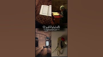 #قرآن #قران_كريم #video #viral #foryou #اللهم_صل_على_محمد_وال_محمد #اكسبلور #سورة_الشعراء #explore #