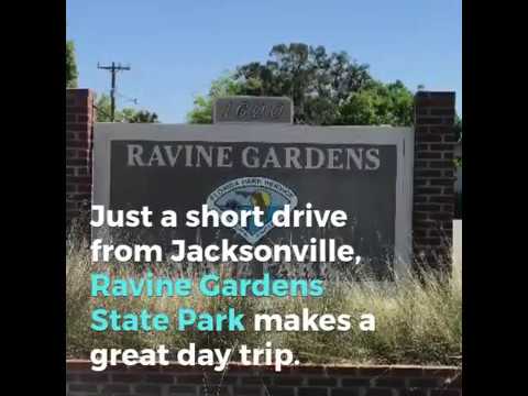 Ravine Gardens State Park Youtube