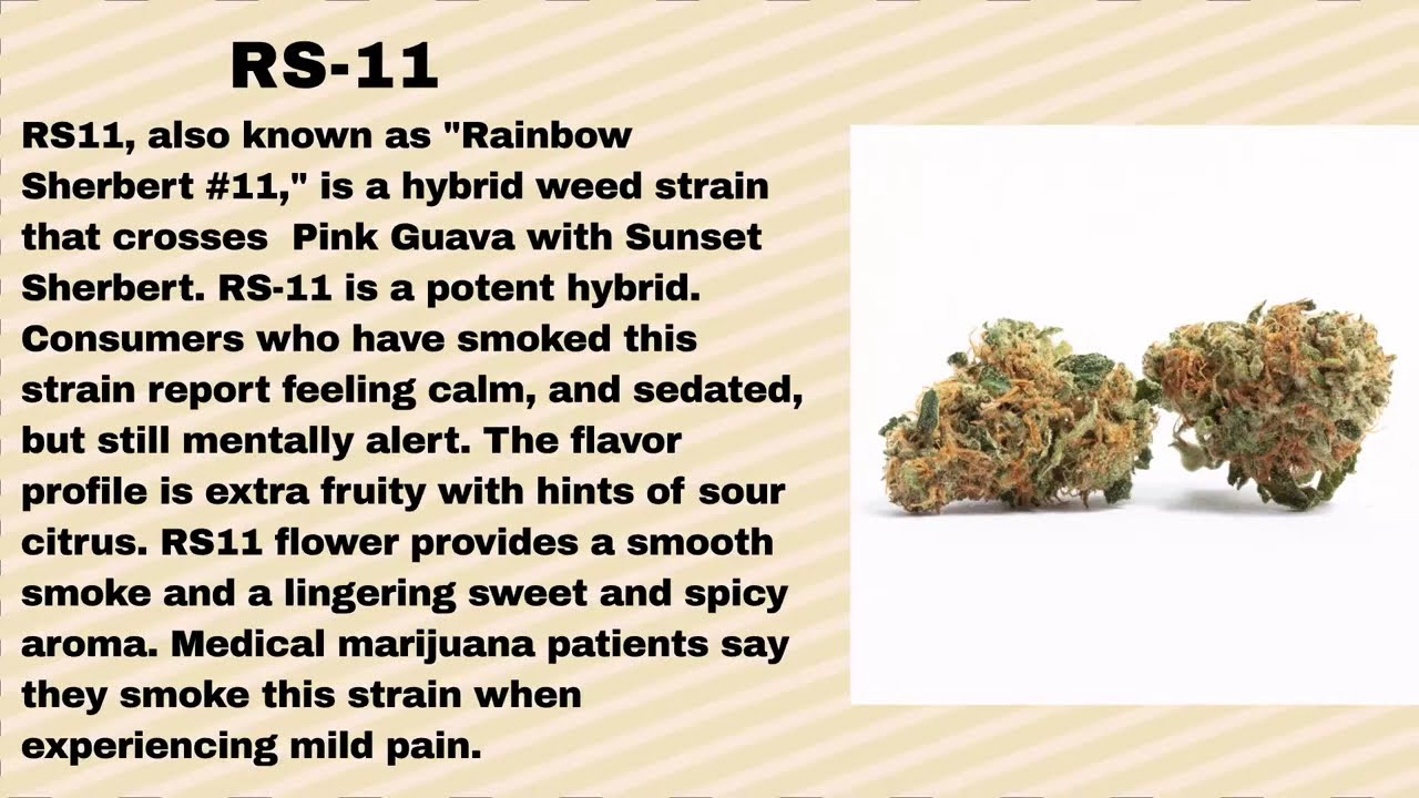 Strain Spotlight- RS11