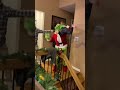 Have you been naughty or nice?🎁#christmas #grinch #electronicmmusic #christmasdance📹: tiktokmas23