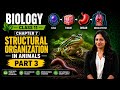 Class 11 Biology Chapter 7 Part 3 Structural Organization in Animals#biology #neet#class11biology