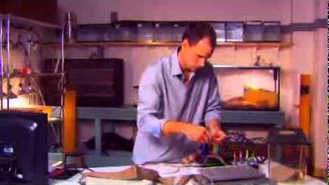 Irschick Gecko adhesion.avi