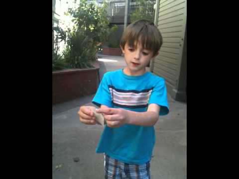 chase show how to do a magic trick where a piece of square paper turns into two equal halves