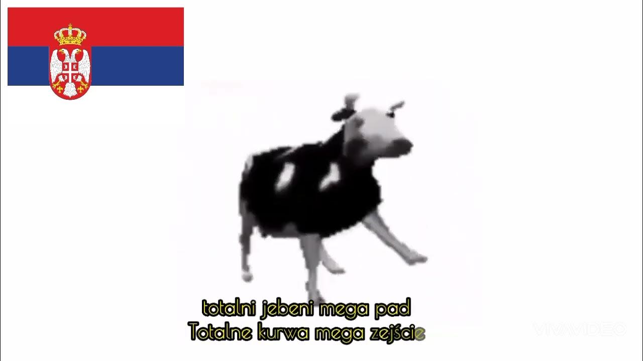 Польская корова песня перевод. Polish Cow Dance tranceparantgif.