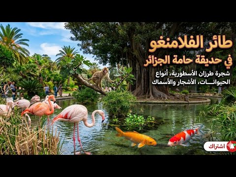 Flamingo birds at Hamma Garden in Algeria, Tarzan tree in Algeria, types of animals, trees, and fish
