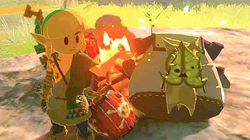 Yes... This is actually in Tears of the Kingdom