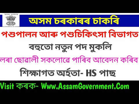 Animal Husbandry & Veterinary Department Assam Recruitment 2022 - 78 Veterinary Field Asstt Posts