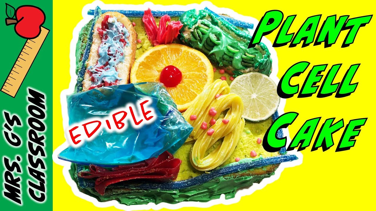 3d Plant Cell Model Cake