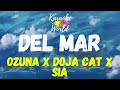 Del Mar - Ozuna x Doja Cat x Sia (KARAOKE)