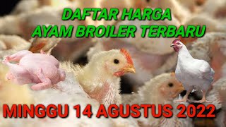 Harga Ayam Broiler Minggu 07 Agustus 2022. 