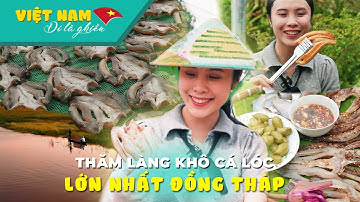Đặc sản khô cá lóc tại làng khô lớn nhất Đồng Tháp | VIỆT NAM ĐI LÀ GHIỀN #108
