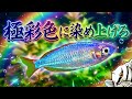 【極彩色8選】もう地味とは言わせない！水槽を劇的に染める熱帯魚たち【淡水魚 アクアリウム】