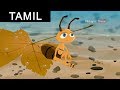 The Ant And The Dove - Aesop's Fables In Tamil  - Animated/Cartoon Tales For Kids