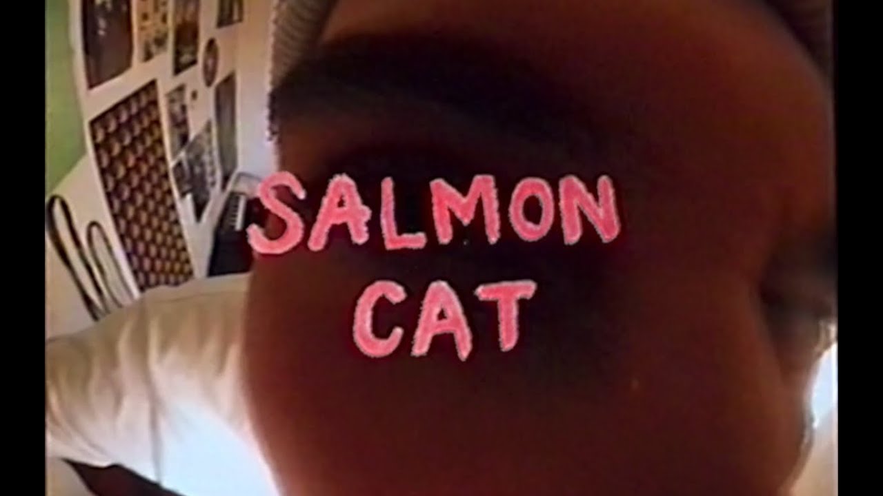 salmon cat trip to dusseldorf