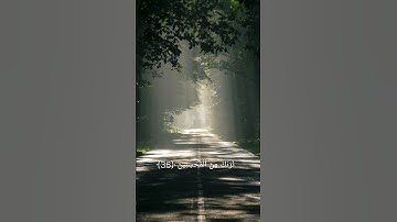 سورة يوسف بصوت الشيخ علي جابر (15) #اكسبلور #القزابري #لايك #المصحف #quotes #peace #راحة_نفسية #تصمي