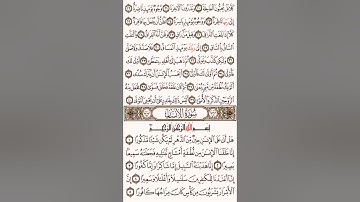76سورة الإنسان للشيخ أبو معاذ أحمد مصطفى حفنى محمد الصياد