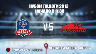 🏆 КУБОК ЛАДОГИ 2013 🥅 СКА-ЗВЕЗДА  🆚  ДИНАМО ФОРВАРД⏰ НАЧАЛО В 11:30 📍 Арена «ХОРС