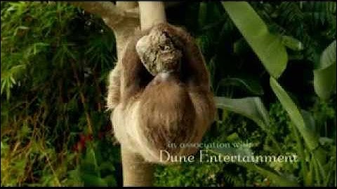 Life Of Pi Opening Sequence