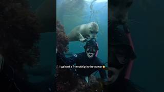 When you're a fish but you identify as a shark 🦈 #funny #shorts