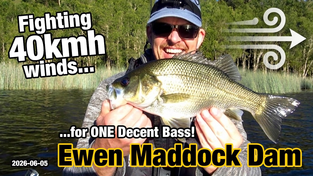 Fighting 40kmh winds for ONE decent Bass! Kayak Fishing at Ewan Maddock Dam