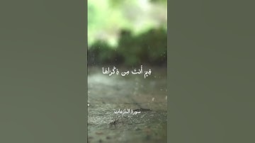 سورة النازعات الآية 40~46 💚 وأما من خاف مقام ربه #quran #المصحف #قرآن