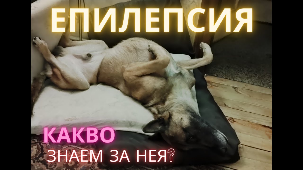 Епилепсия. Какво знаем за нея?
