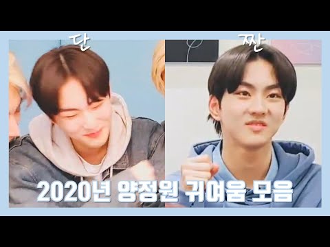 [엔하이픈-양정원]단짠단짠 귀여움 맛보고 가세요💙 2020Jungwon cutest moments