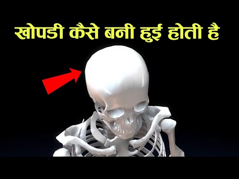 वीडियो: हार्वर्ड टूर कहाँ से शुरू होता है?