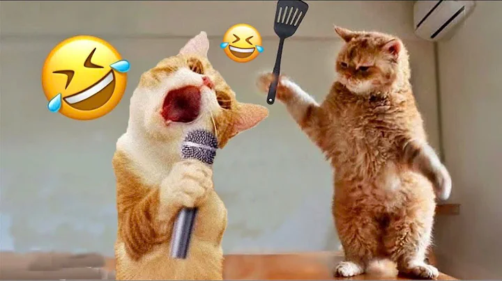 Watch the video about Funny Cats Videos Clips😂|| Funny Moments Cats And Dogs || Part 16