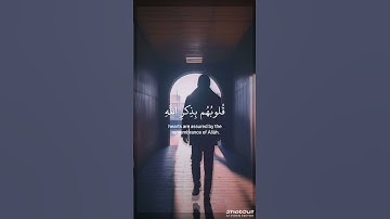 حالات واتساب قرآن كريم وستوريات💚🌿||بصوت عذب للشيخ عبد الرحمن مسعد