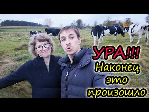 Достигли цели // 10 дойных коров // Семья Лях