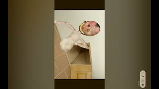 Wbc Reacting To Henry Eats