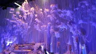 Frozen Wedding Theme : Zalikha & Muhaimin