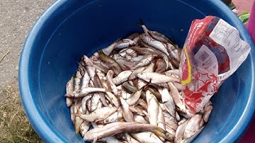 Đặc Sản & Món Ăn Dân Tộc Khơ Mú Việt Nam