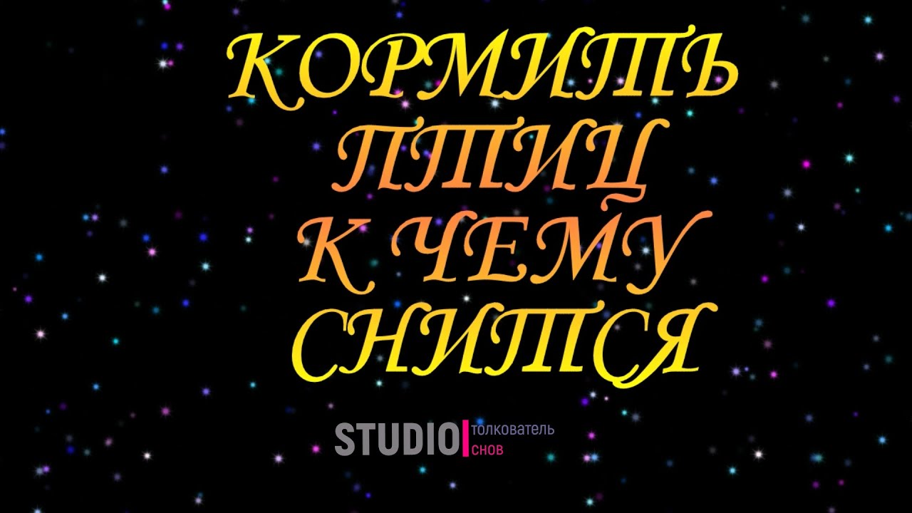 ТОЛКОВАТЕЛЬ СНОВ ~ КОРМИТЬ ПТИЦ ВО СНЕ, К ЧЕМУ СНИТСЯ