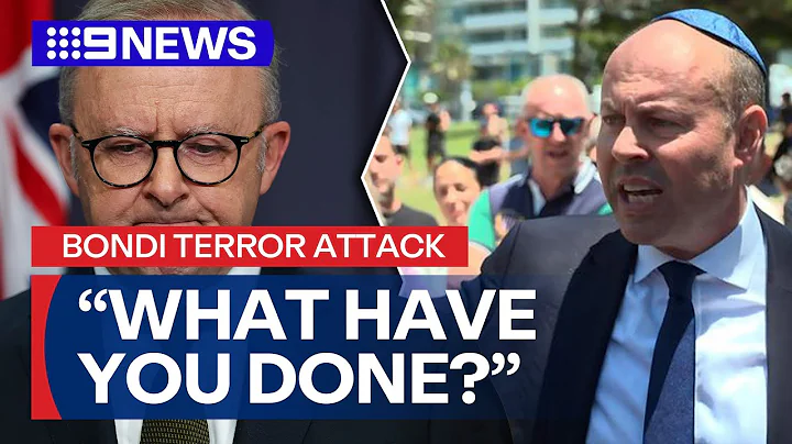'Here to warn': Furious ex-treasurer unleashes at PM over Bondi terror attack | 9 News Australia