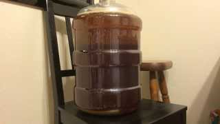 Time Lapse of Beer Fermentation